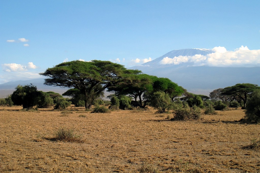 Kenia (260).jpg